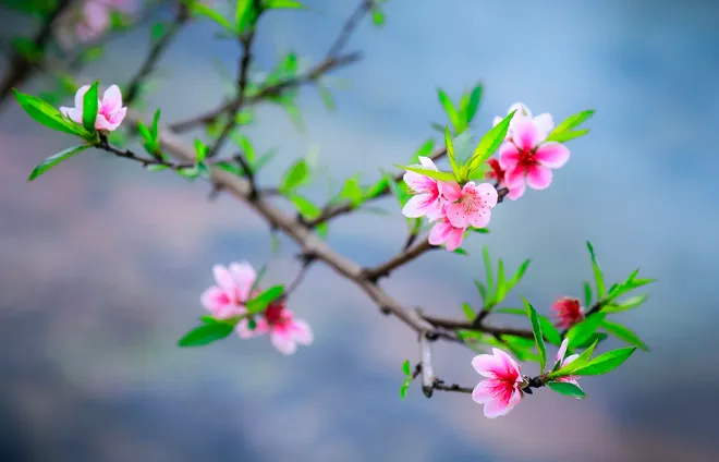Một Năm Mới Không Sợ Hãi