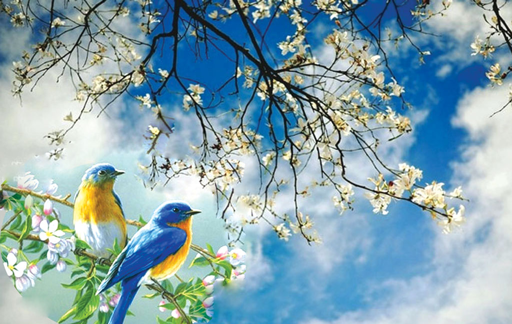Năm Mới, Khởi Đầu Mới