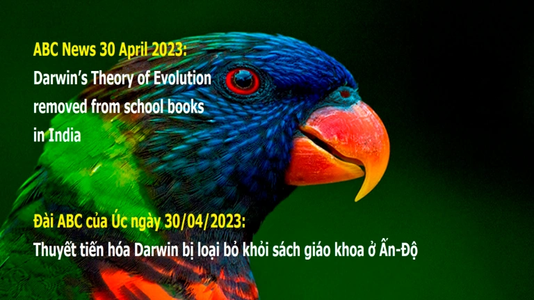 Tin Vui Về Thuyết Tiến Hóa Darwin