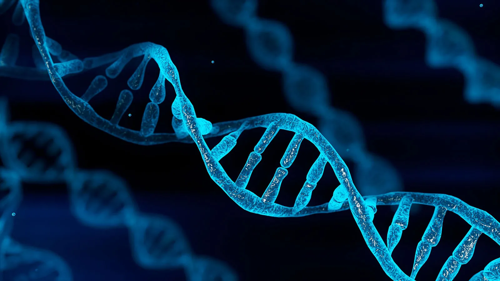 DNA thật sự là một Phép Mầu