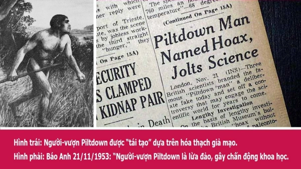 Góc tối trong Phiên tòa Con khỉ Scopes - Phần 1