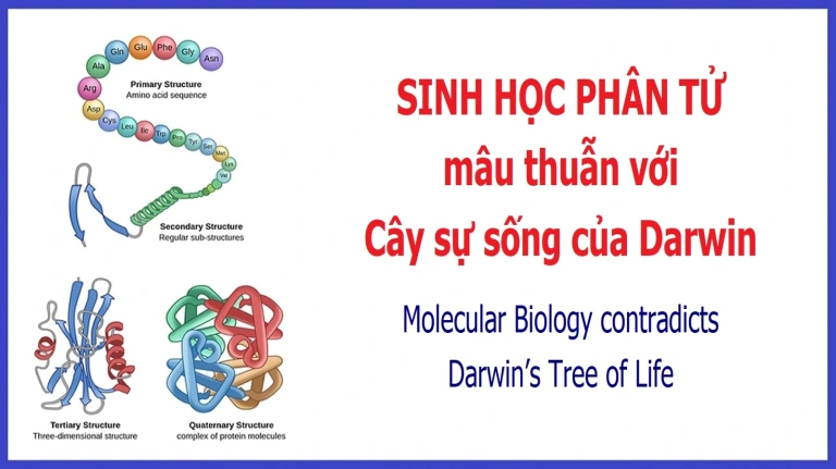 Sinh Học Phân Tử Mâu Thuẫn Với Cây Sự Sống Của Darwin