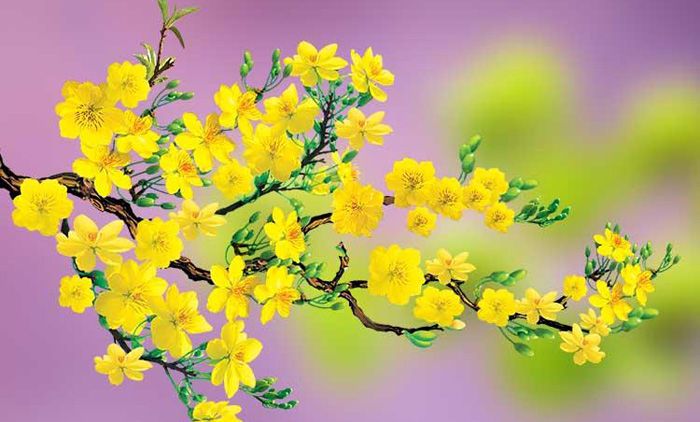 Dọn Đường Cho Năm Mới
