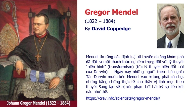 Bài báo “Gregor Mendel” của David Coppedge