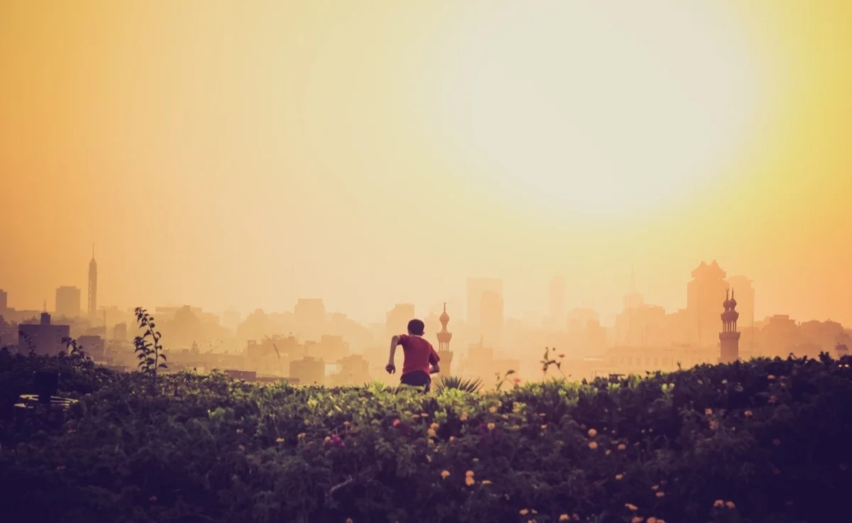 Người Đi, Người Sai Phái, Người Huy Động, Và Người Tiếp Đón