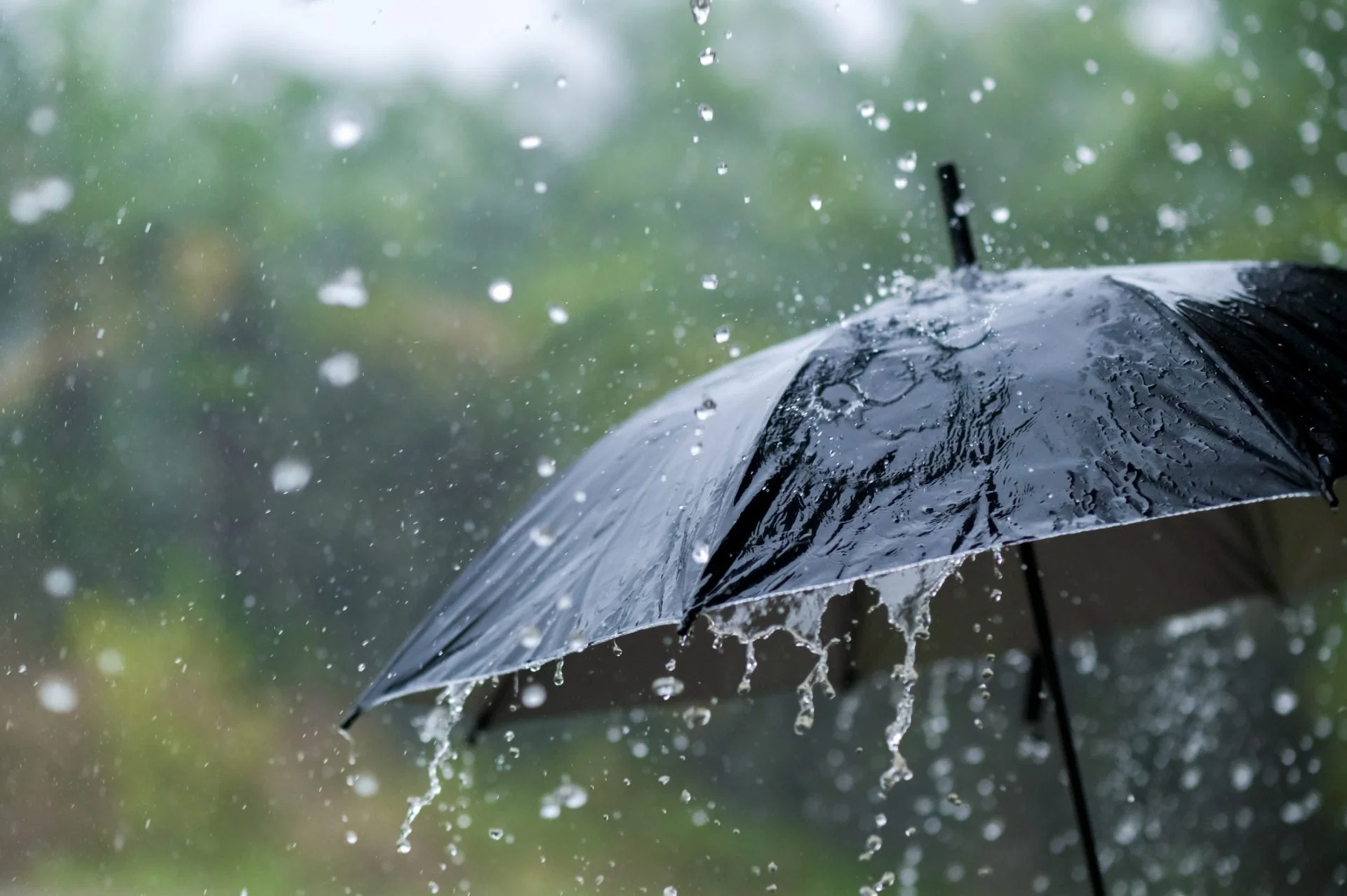 Trong Ý Muốn Của Chúa, Trời Vẫn Đổ Mưa
