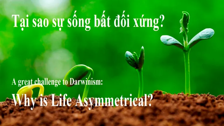 Tại sao Sự Sống Bất Đối xứng?
