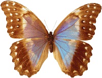Những Phước Lành Xung Quanh Bạn
