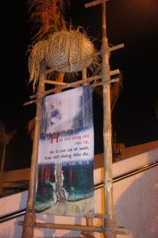 DSC08353_224x336