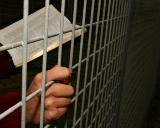 prison-bible