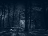 dark