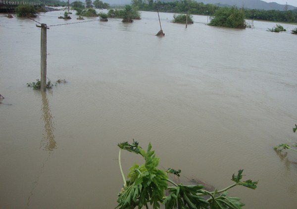 lu lut miền trung, tin l&agrave;nh, quảng nam