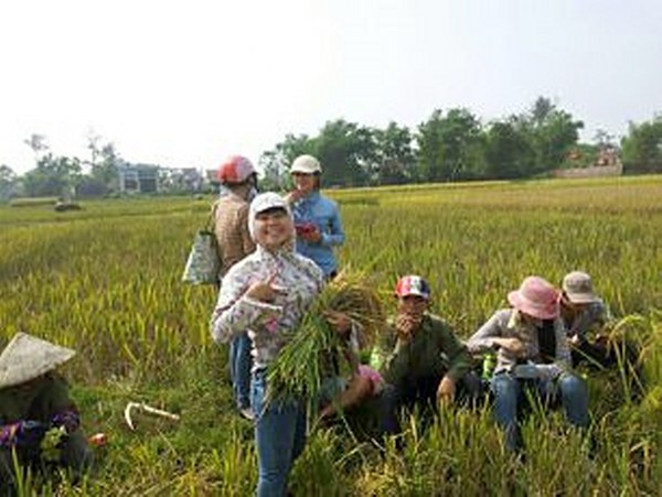 ban thanh niên móng cái, chuyển mình