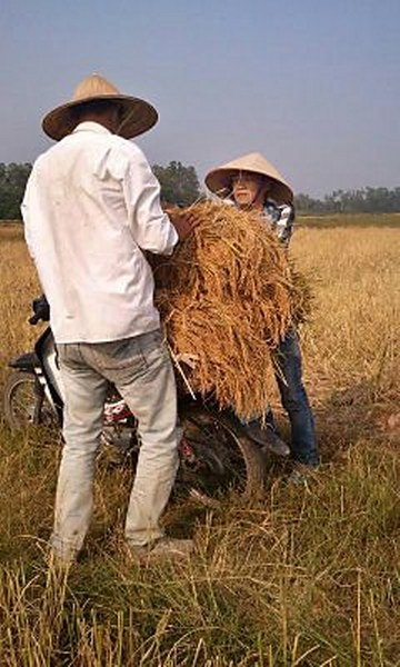 ban thanh niên móng cái, chuyển mình