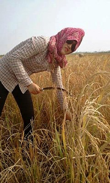 ban thanh niên móng cái, chuyển mình