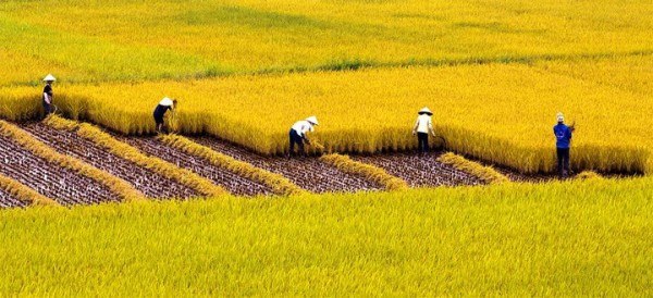 cầu nguyện cho trẻ em