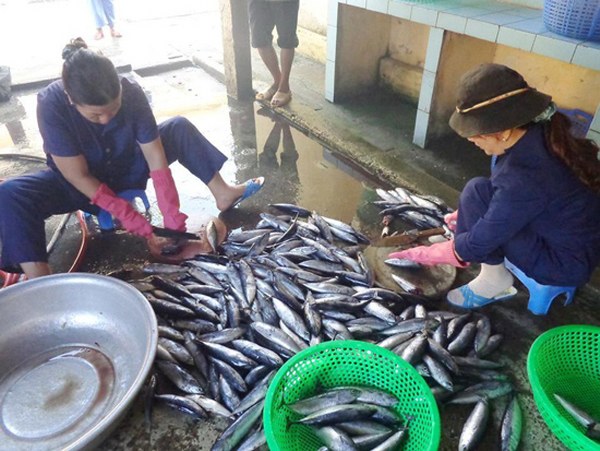 NHỮNG TẤM LÒNG CON CÁI CHÚA ĐẾN VỚI NGƯỜI BỆNH TÂM THẦN ĐÀ NẴNG