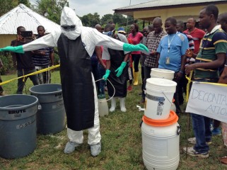 ebola 1 năm sau
