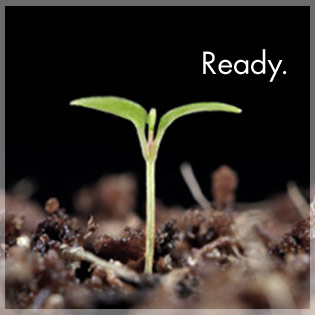 6_series_ready