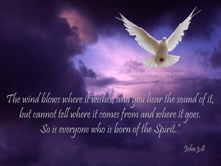 born-of-the-spirit