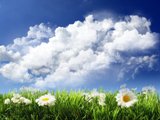 sky-and-flowers-2