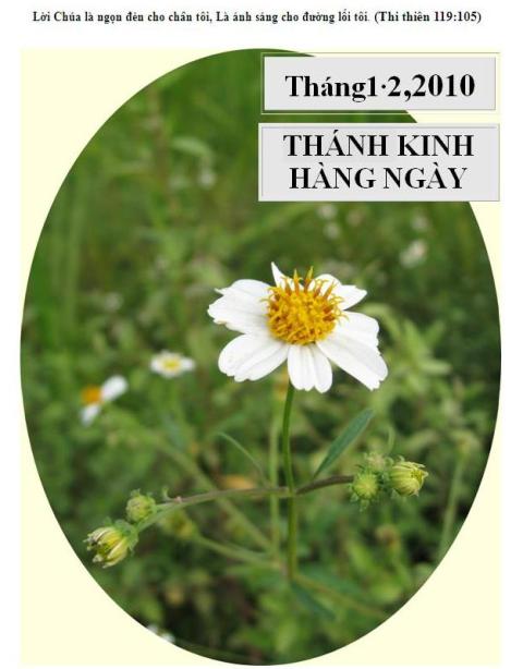 thanh kinh hang ngay