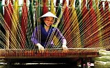 chieu_ca_mau_1