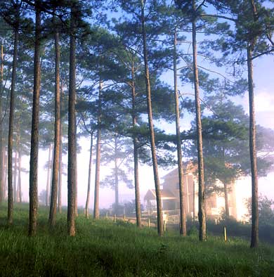 dalat3