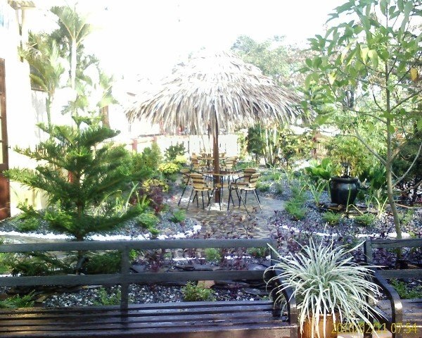 cafehoian1