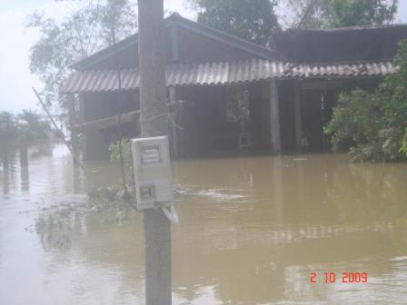 bao ngap nuoc 2