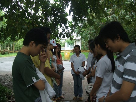 kt cau nguyen