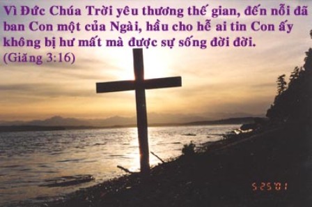 tinh yeu cua dct
